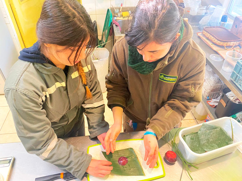 Prácticas Profesionales: “Abre tus puertas, TransFORMA un futuro”