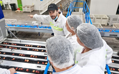 El Año del Voluntariado: Construyendo comunidad desde los territorios