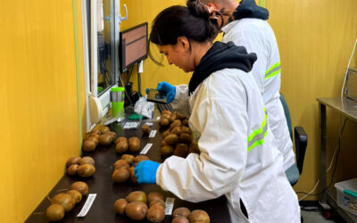 Pasantías TP: la experiencia que conecta a estudiantes del Maipo con el mundo laboral